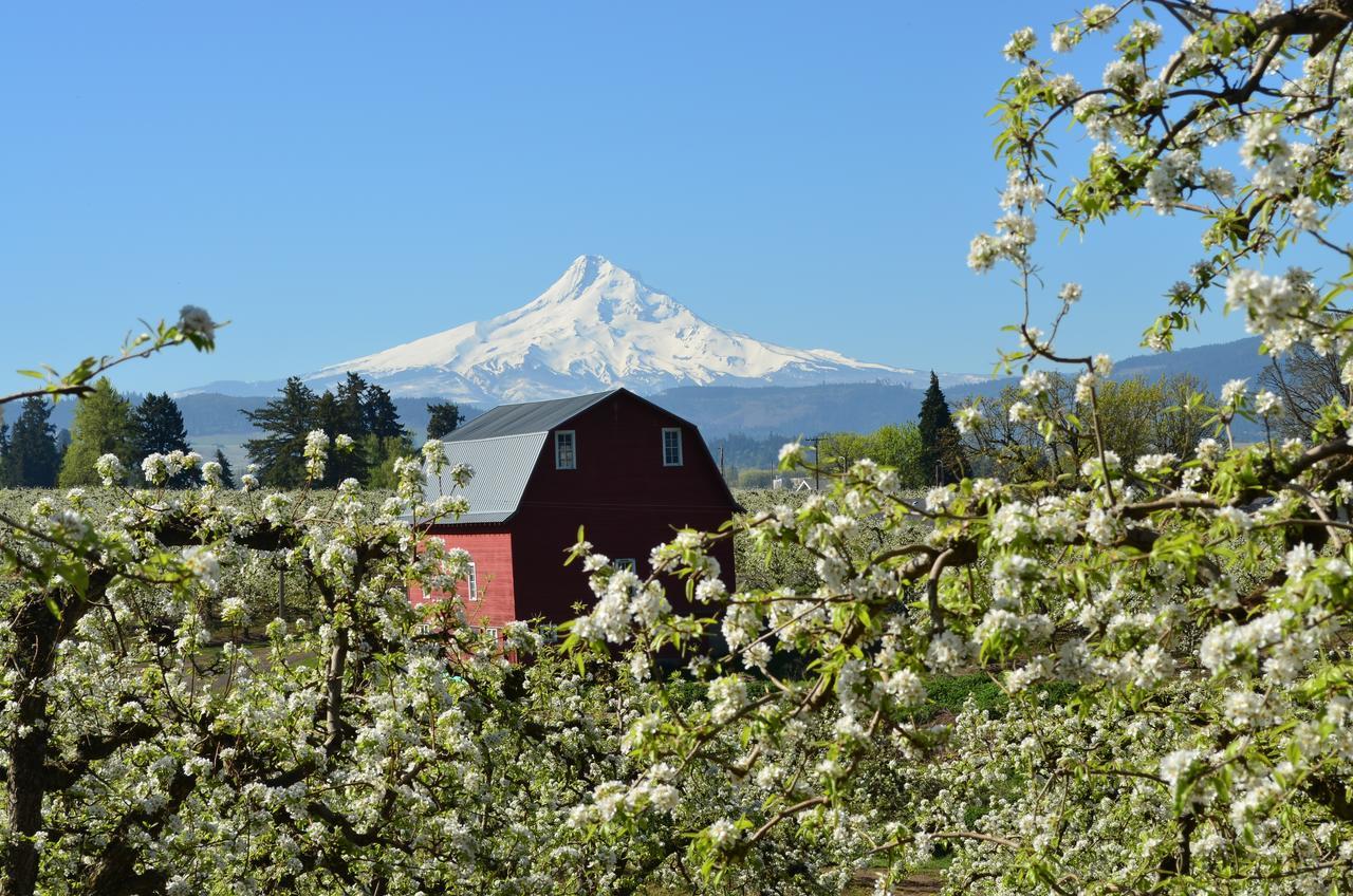 Old Parkdale Inn Bed And Breakfast Hood River Ngoại thất bức ảnh